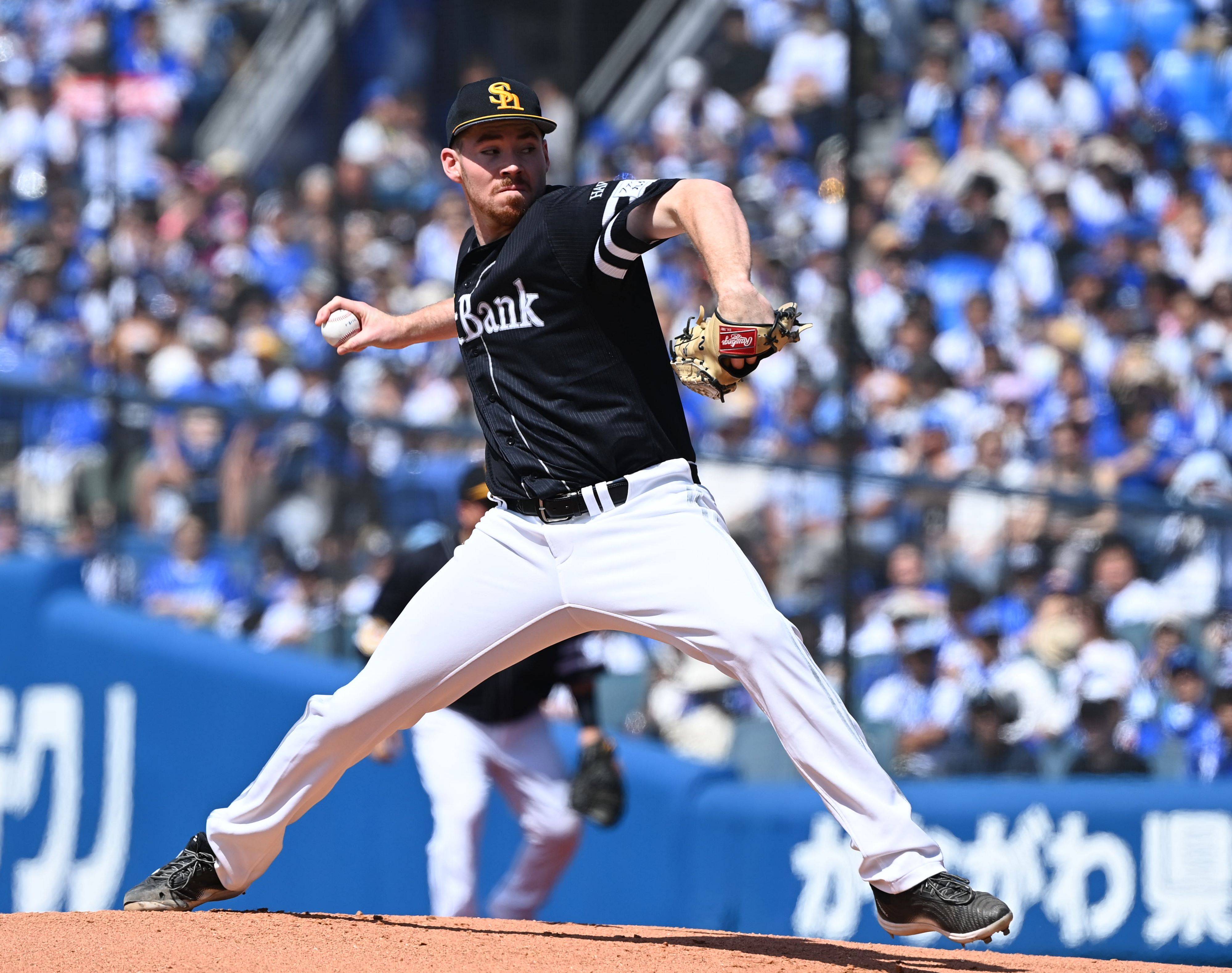 【6.8DeNA戦】おタカらギャラリー:「おっ!」でつながる地元密着のスポーツ応援メディア 西スポWEB OTTO!