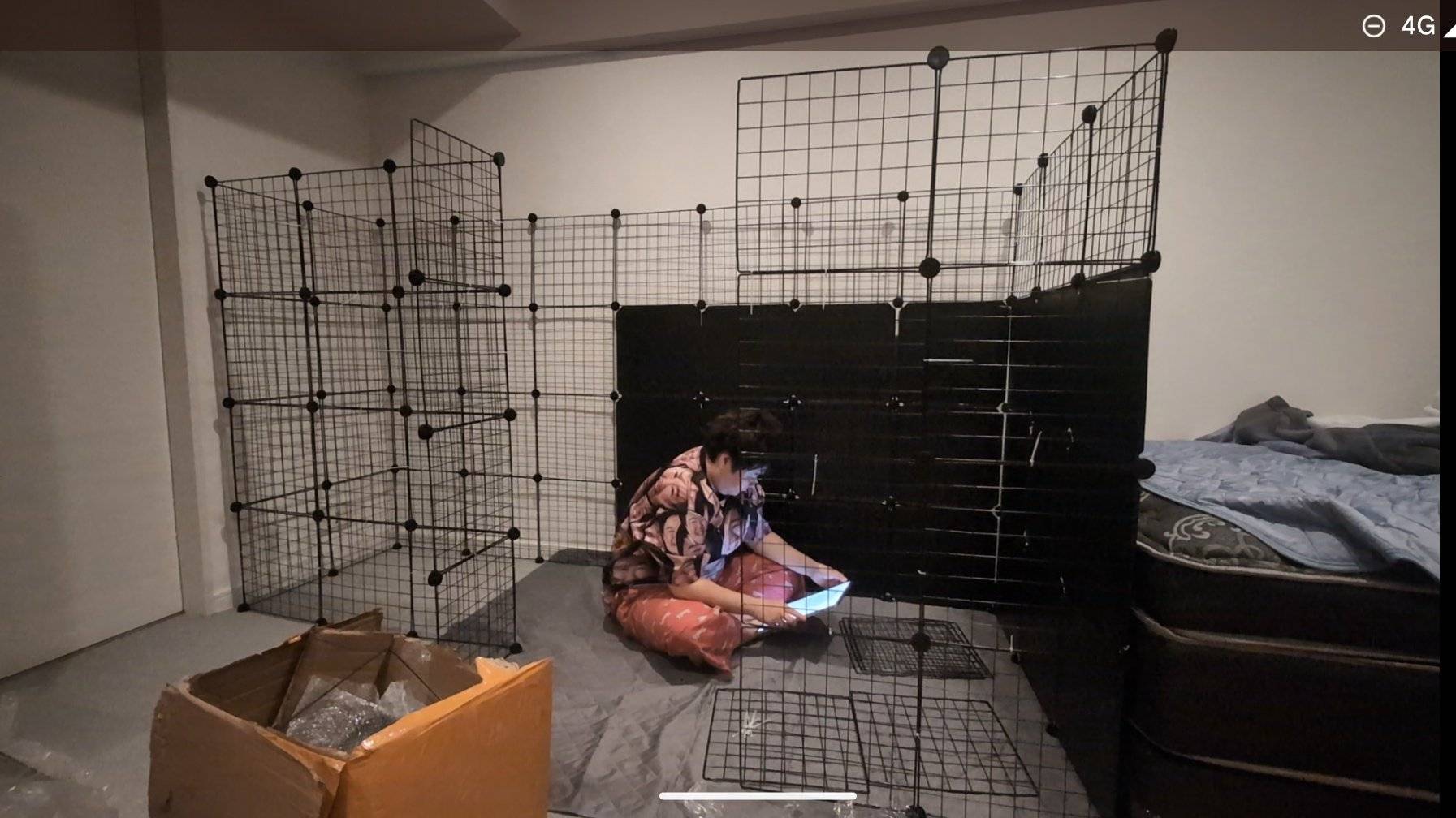 やす子10人分…!? 愛猫用〝超特大ケージ〟が話題に 「どんどんデカく