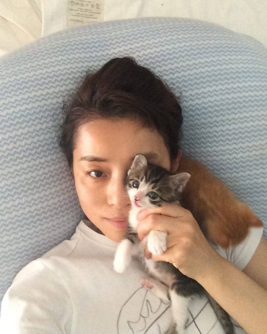 猫用 ペットハウス かご 石田ゆりこさん