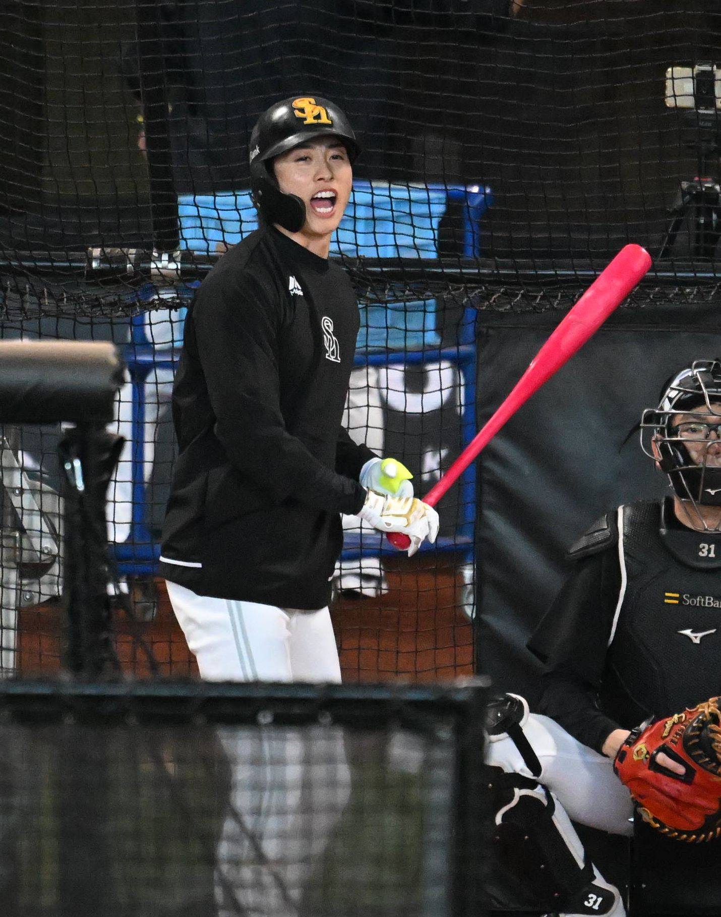 プレミア】川瀬晃 ZETT ゼット 硬式木製バット ソフトバンク 2本セット