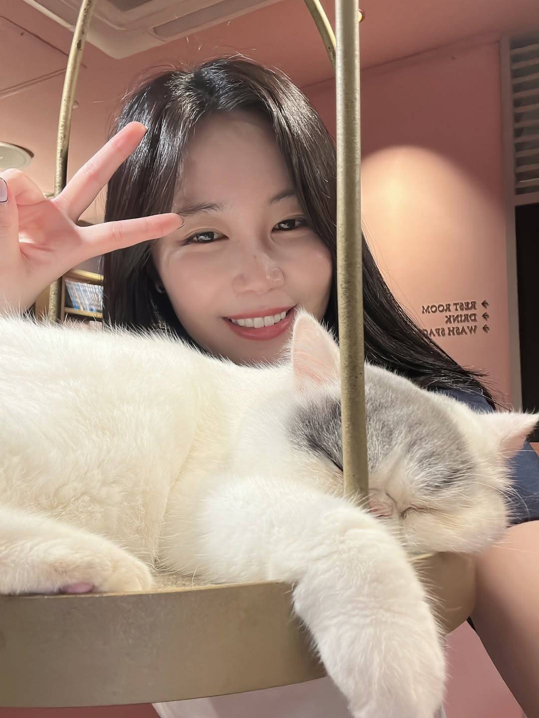 鷲尾伶菜　わしねこ 鷲尾伶菜 on X: 