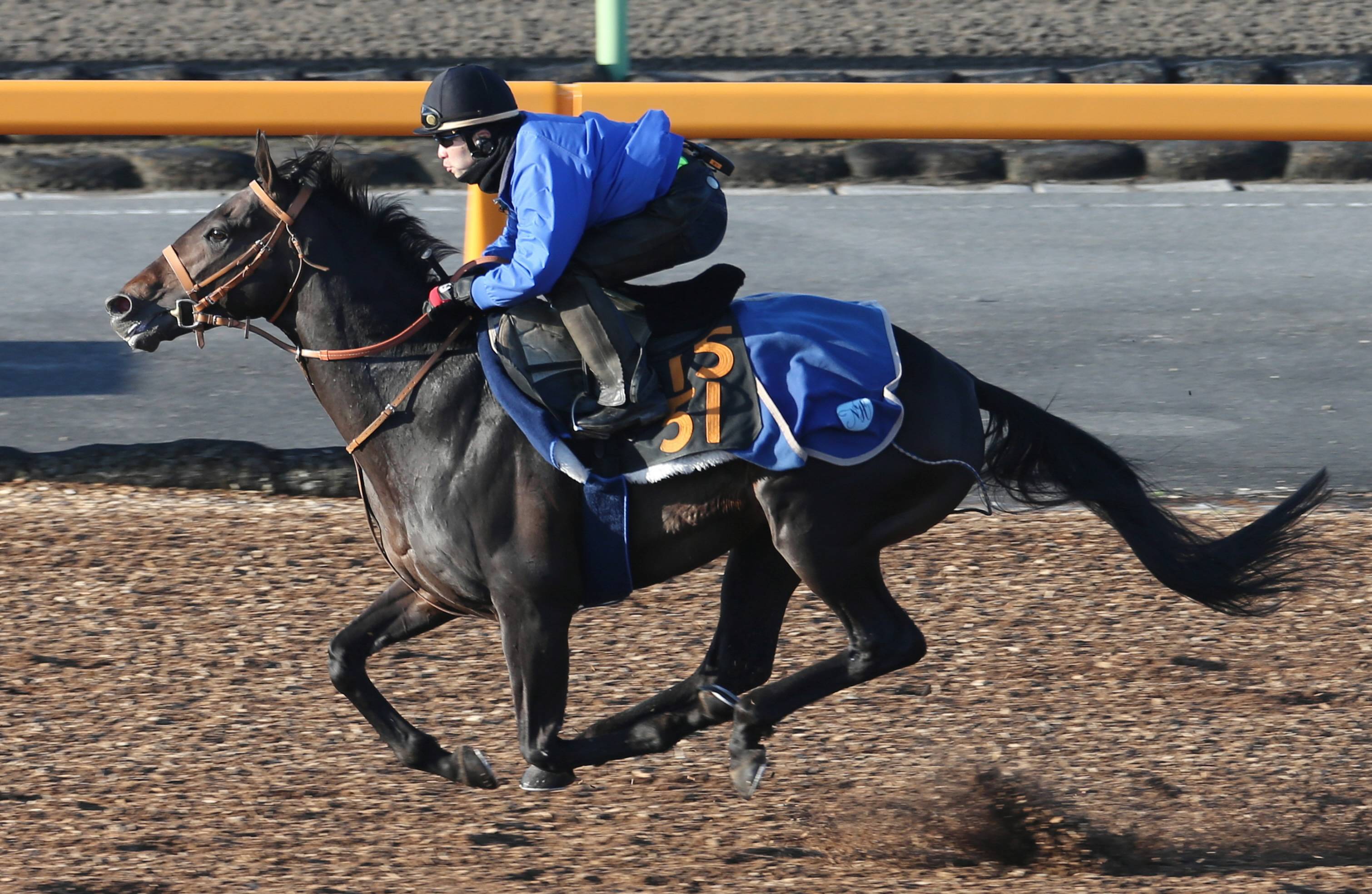 勝ち馬の父に「えっ！」 5836万円の馬券、小倉で〝超〟高配当「どうやったら取れるんだよ笑」：「おっ！」でつながる地元密着のスポーツ応援メディア  西スポWEB OTTO!