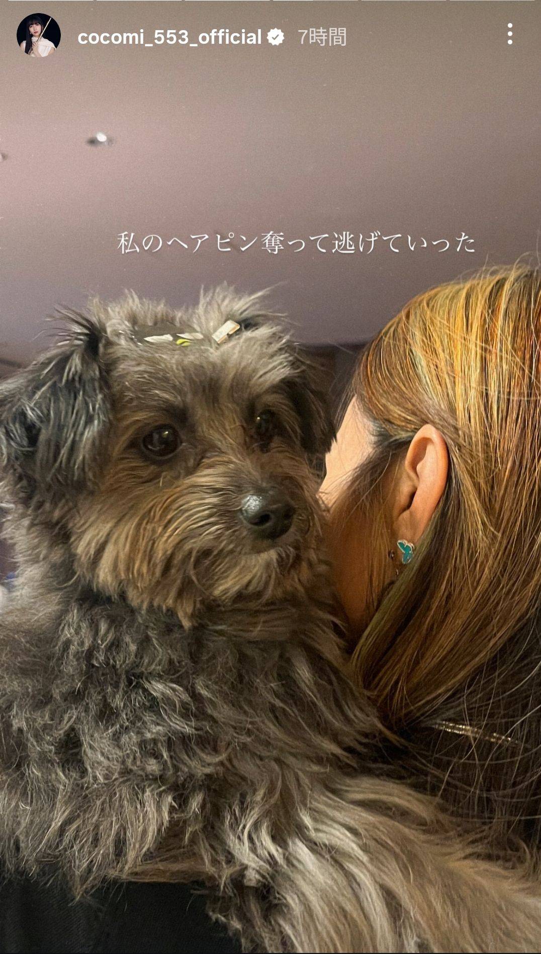 母・工藤静香の〝自宅姿〟をCocomiが公開！ファンは〝ある部分〟にも