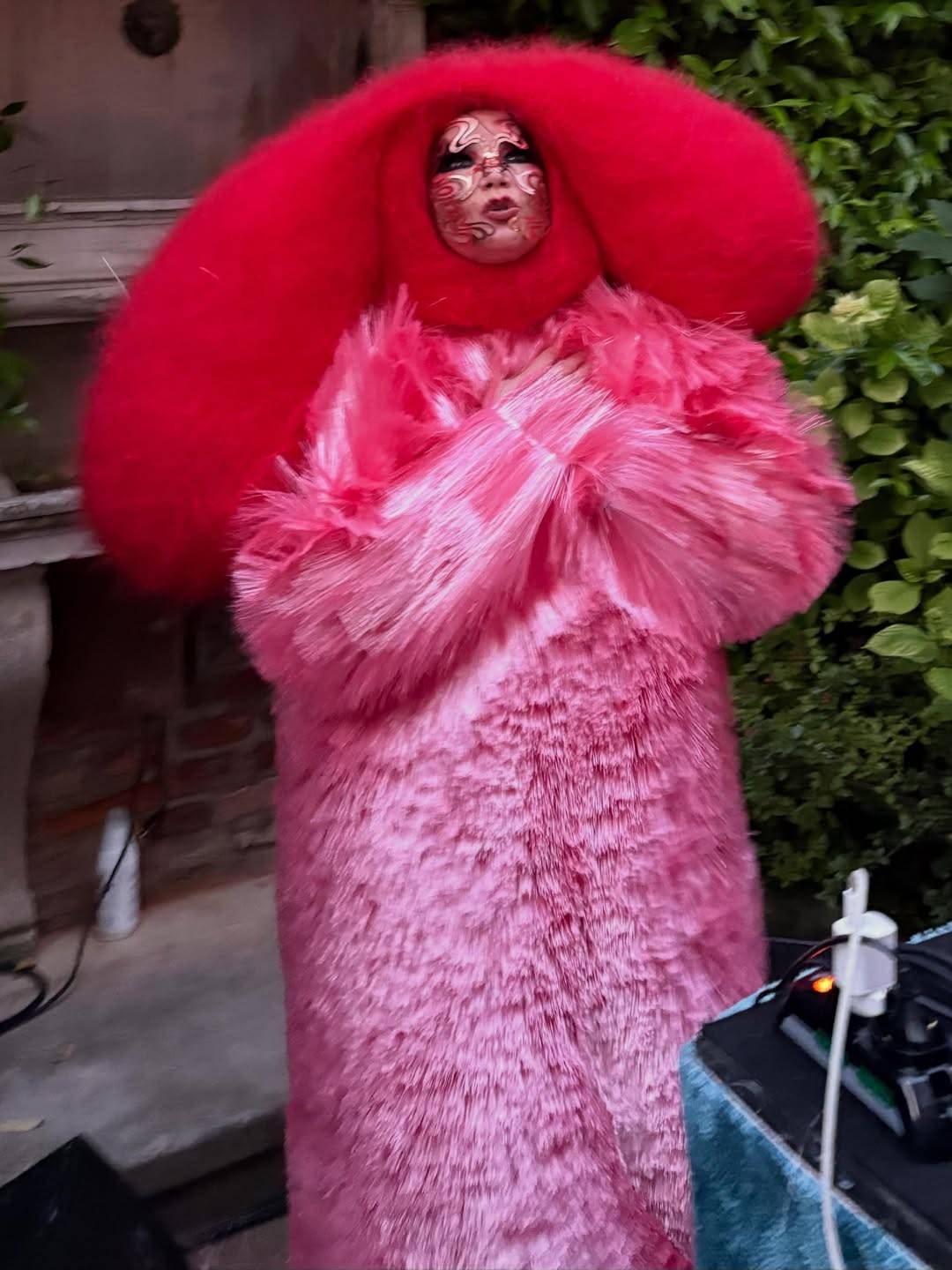 新品 ビョーク Bjork 洋楽 オルタナティブ トリップホップ 歌姫