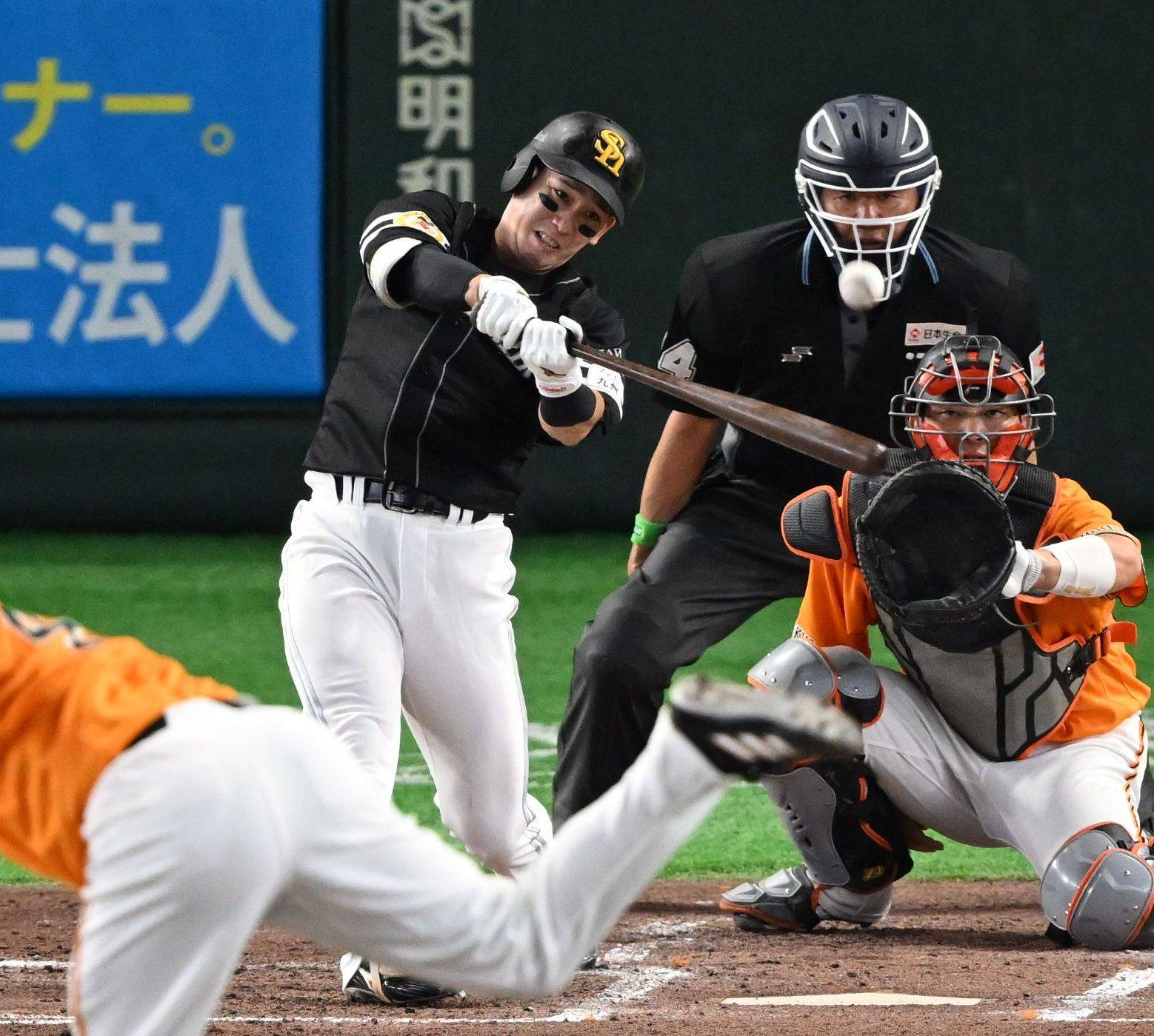 5.26 セ・パ交流戦 vs巨人】ソフトバンクおタカらギャラリー：「おっ
