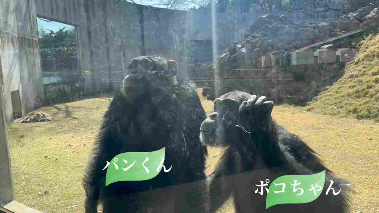 志村けんさんの相棒〝24歳になったパンくん〟が話題「久しぶりに元気な