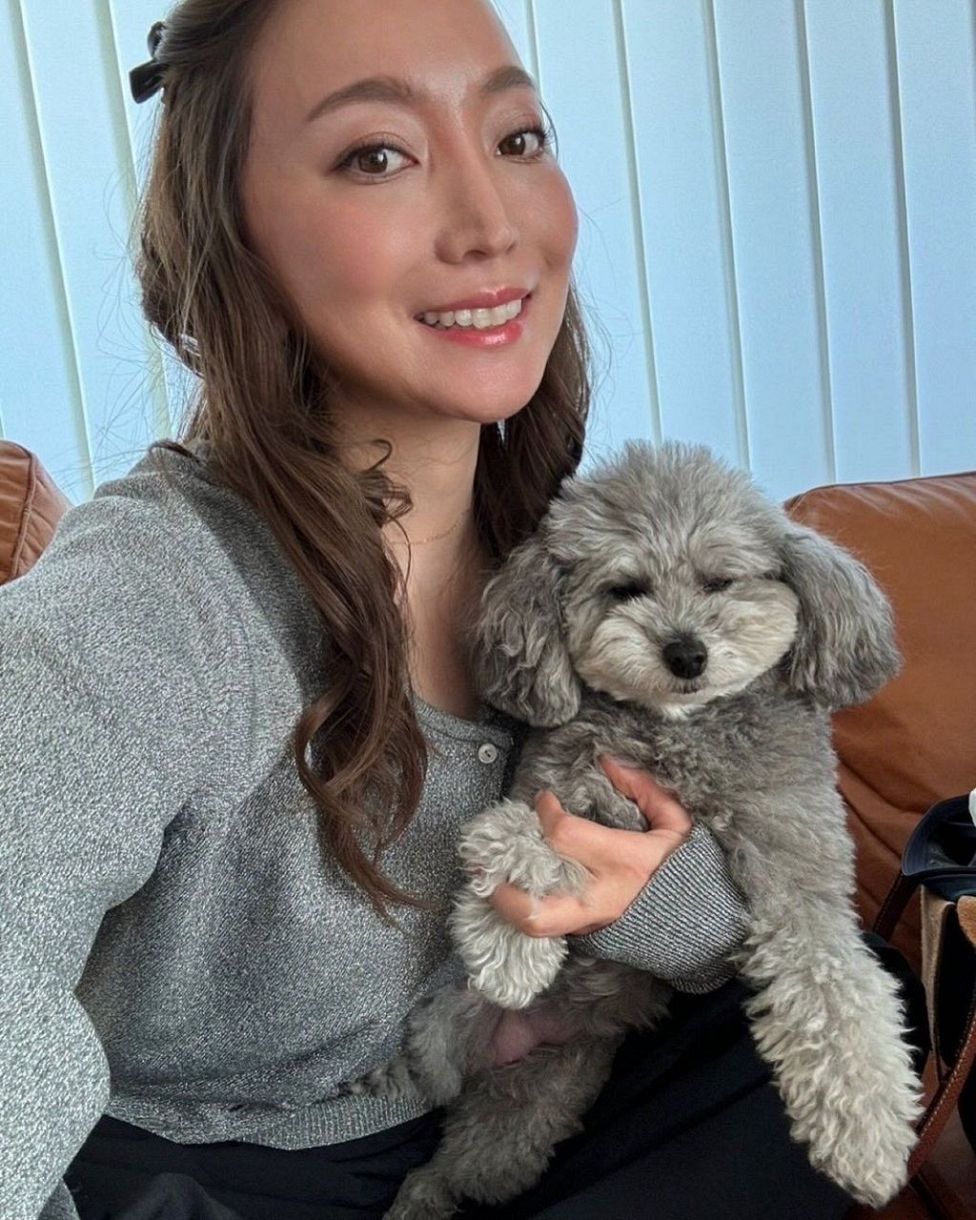 秋元康の妻