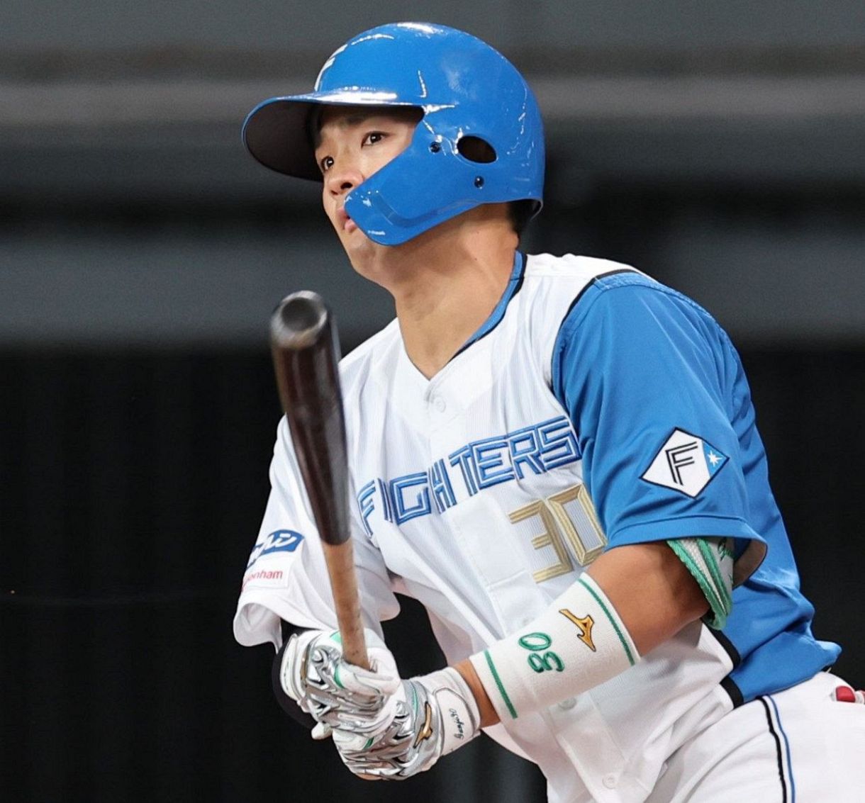 NPBバット 郡司裕也 NPBバット 郡司裕也 NPBバット 郡司裕也 01131447_6784a90eab18f.jpg