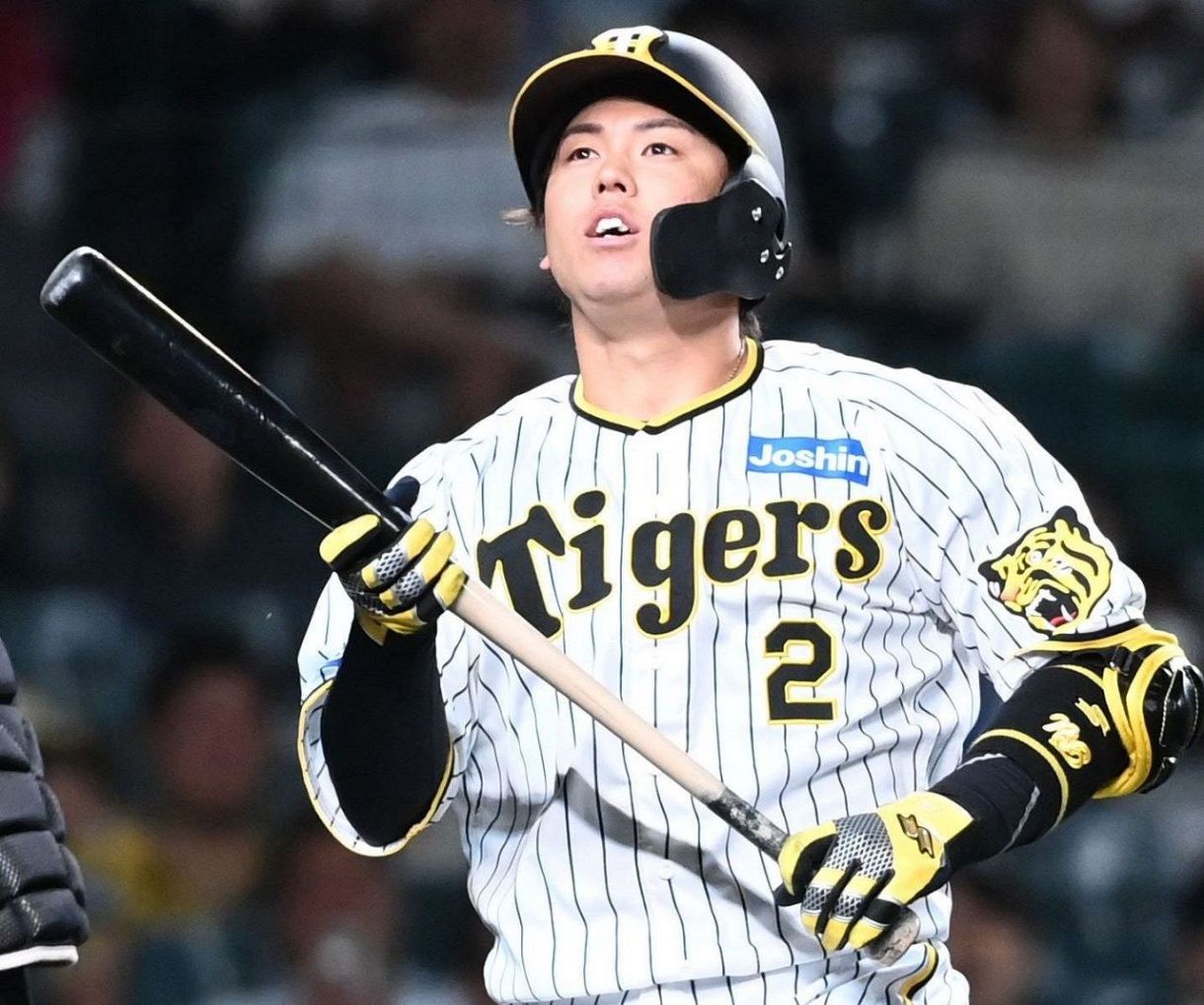 爆買い 英語 阪神タイガース 断り 木製バット 梅野 スポーツ選手