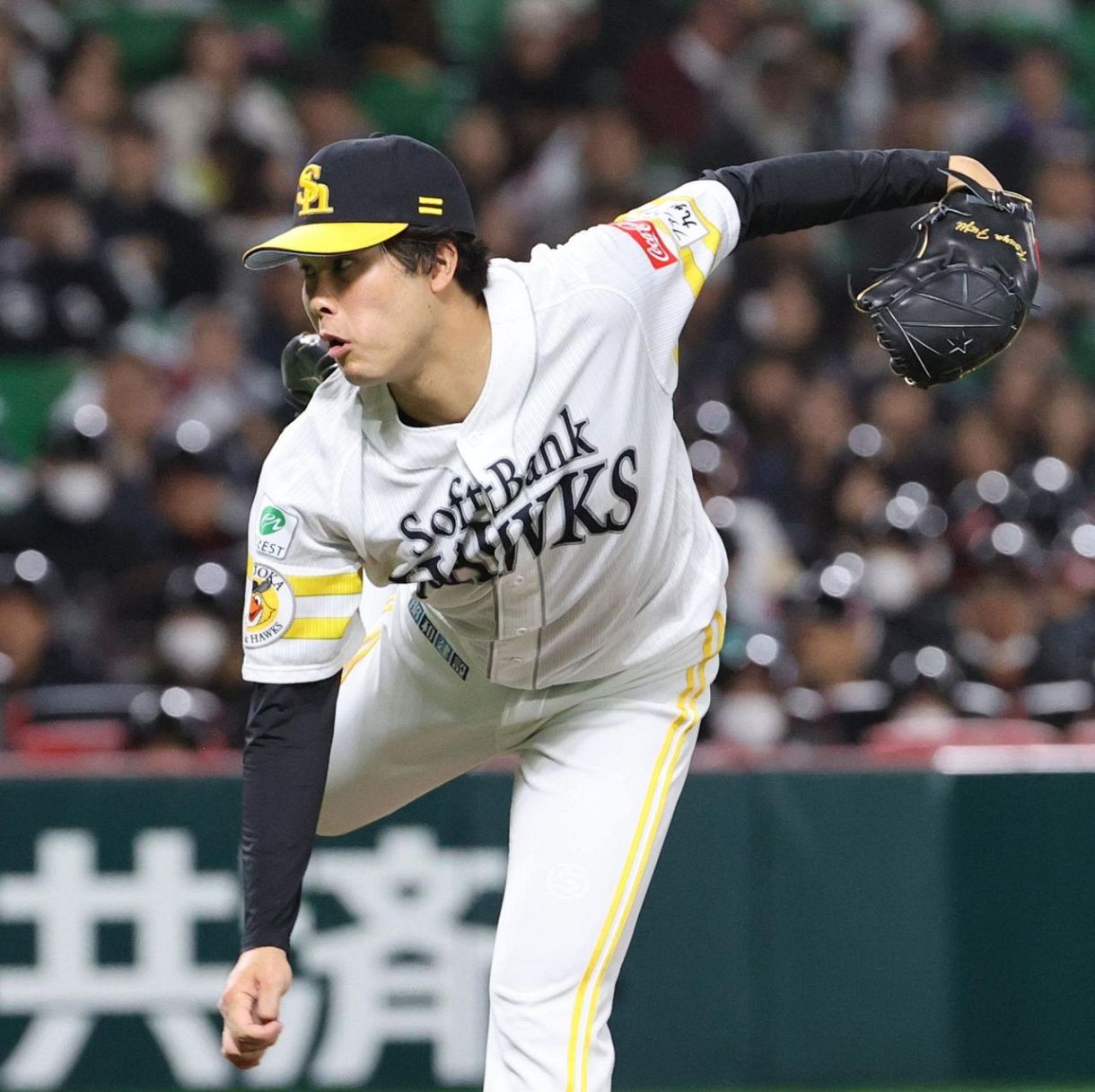 WBC 近藤健介仕様】セラミックパワーギア 2枚（WBCコンビが躍動