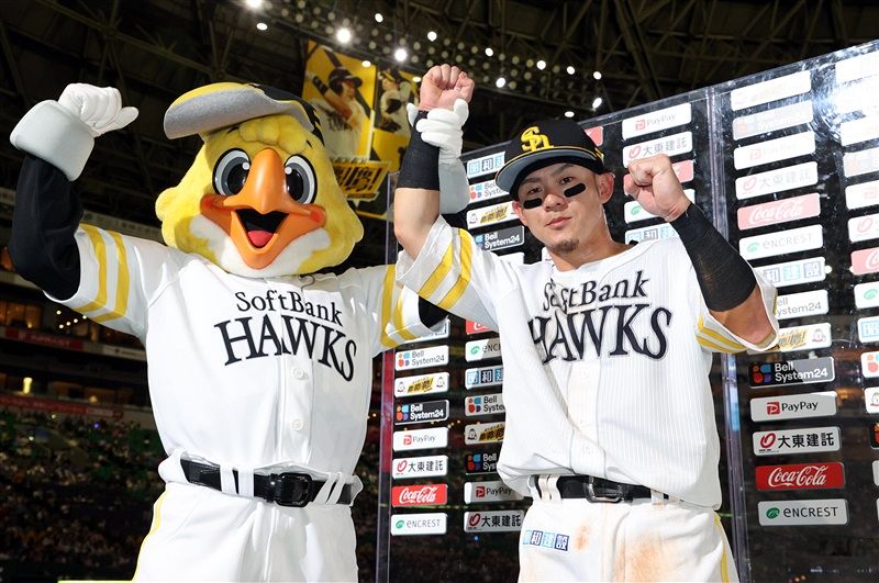 ハリーホーク：「おっ！」でつながる地元密着のスポーツ応援メディア