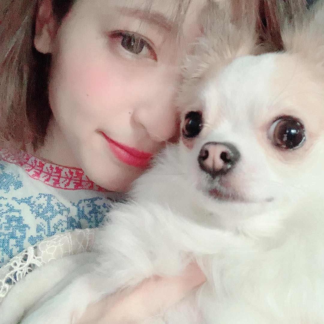神田 沙也加 犬