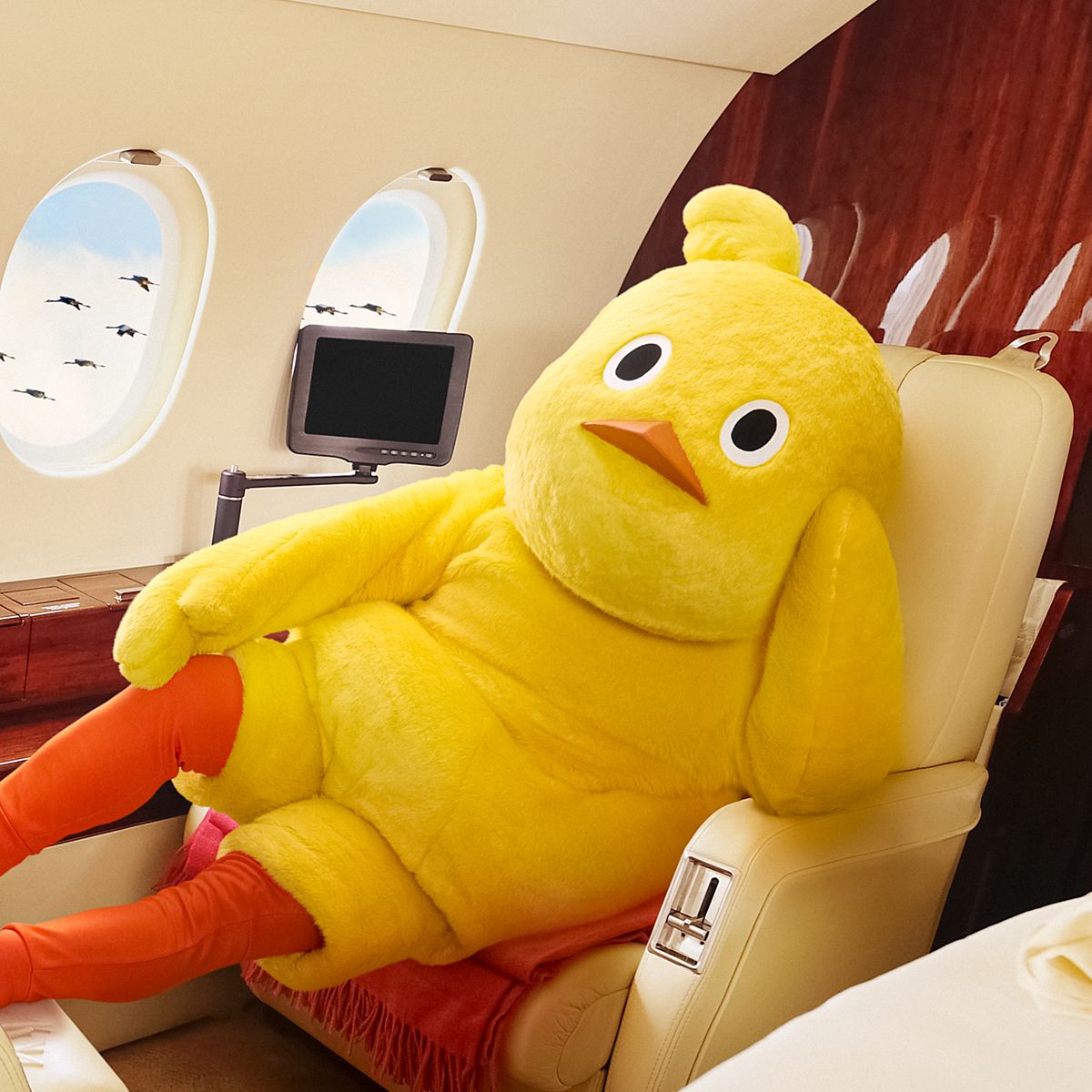 全身が氷に覆われ…チキンラーメンひよこちゃん〝極寒〟姿に「冷凍