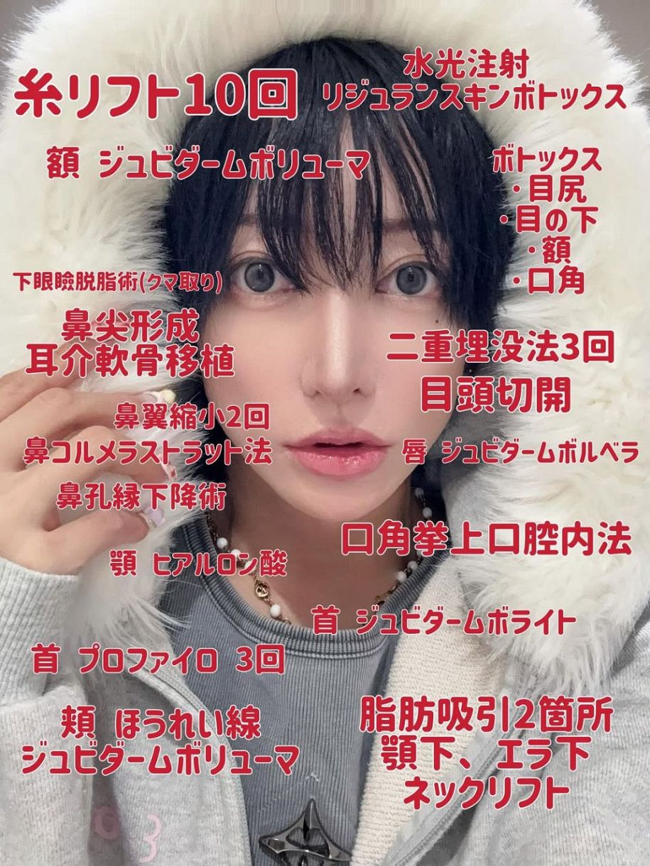 活動歴および当時の関連ビジュアル記録