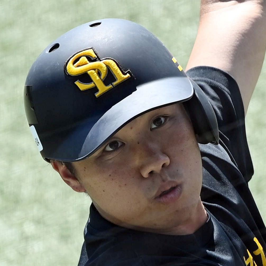 ソフトバンクホークス 海野隆司選手使用NPBバット