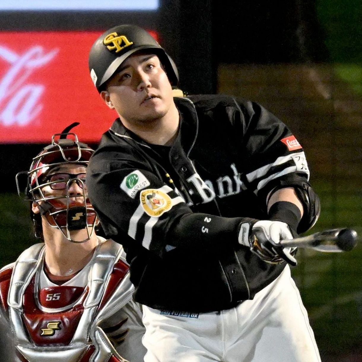 NPB山川穂高選手バット