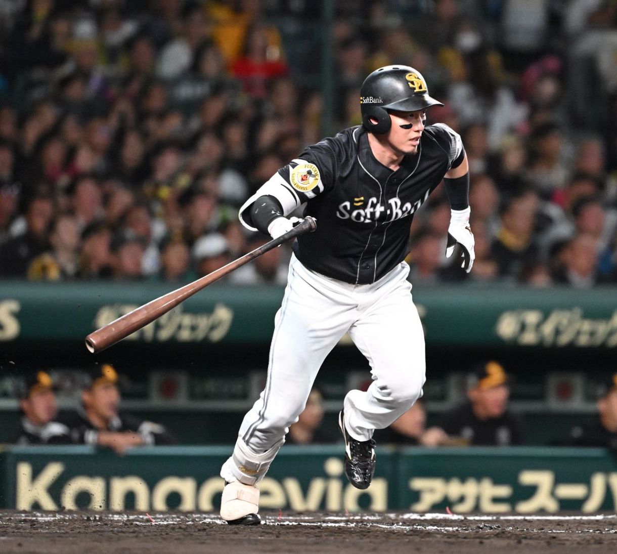 ソフトバンク栗原陵矢、腰のヘルニア手術が終了 競技復帰まで2～3カ月