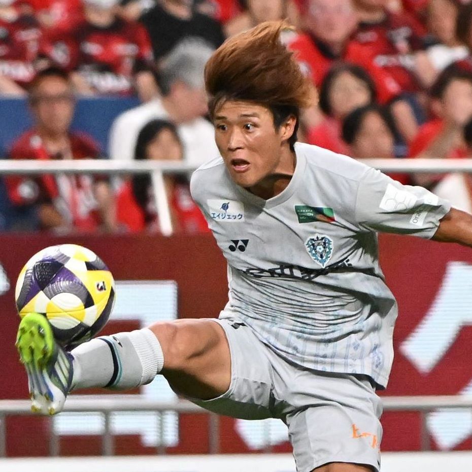 ロ*シ様 アビスパ福岡 選手着用モデル　新品未使用　未開封 岩崎選手　半袖ユニ1 アビスパ福岡】#21 山ノ井拓己選手着用済みサイン入りユニフォーム