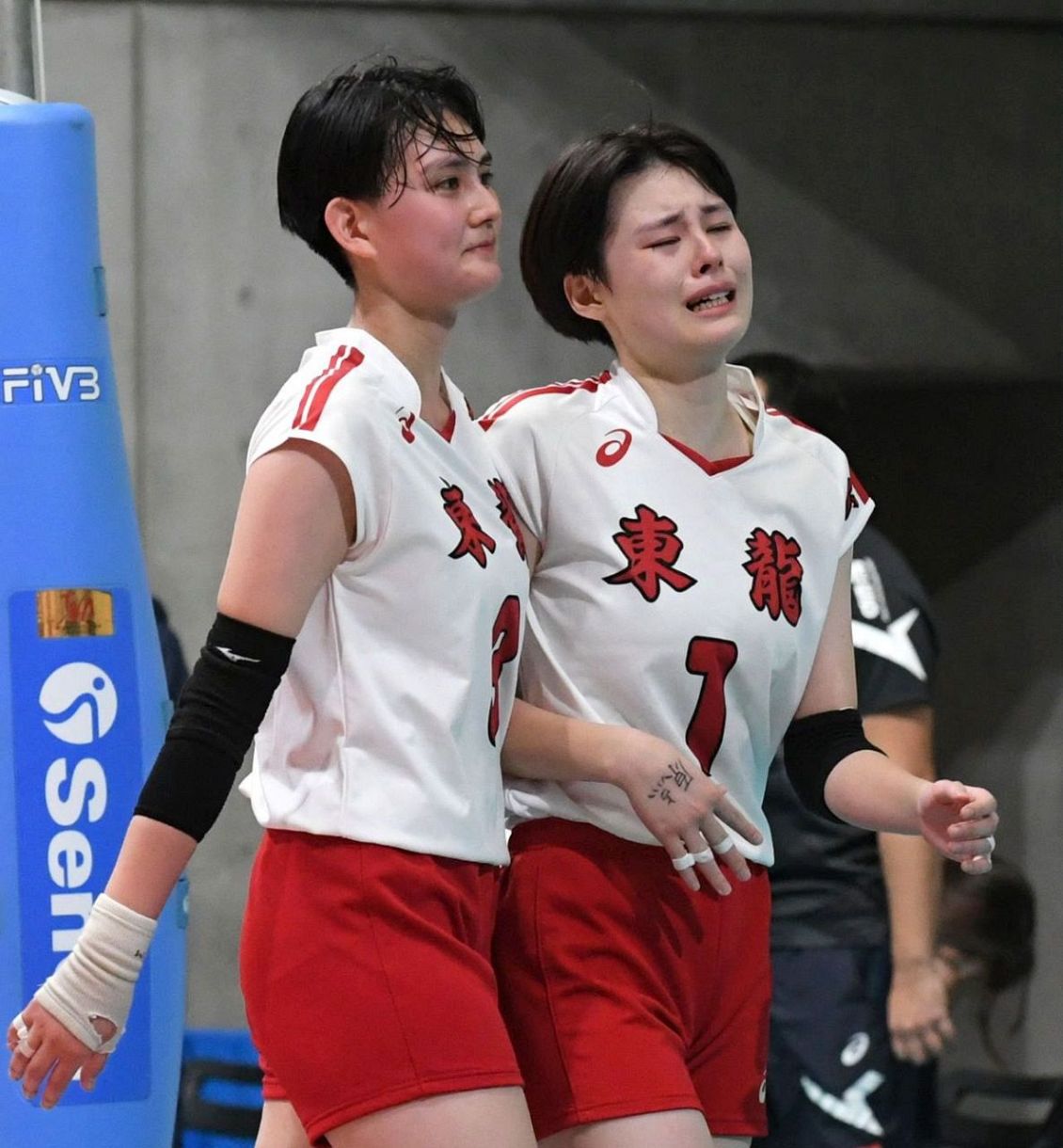 春高バレー：「おっ！」でつながる地元密着のスポーツ応援
