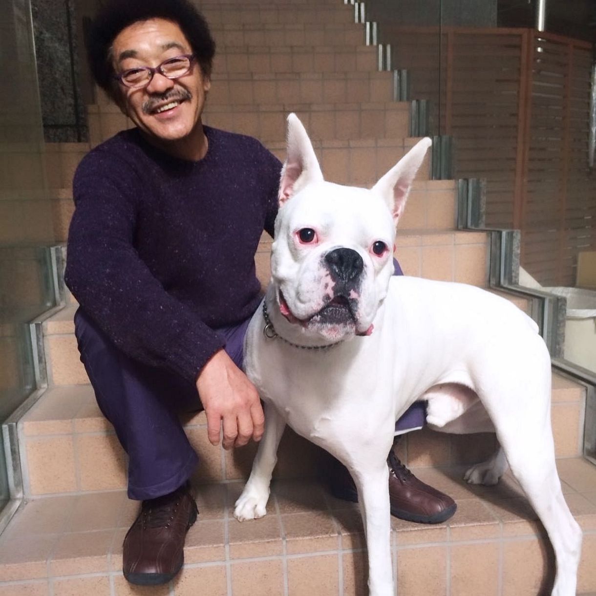具志堅 用 高 犬
