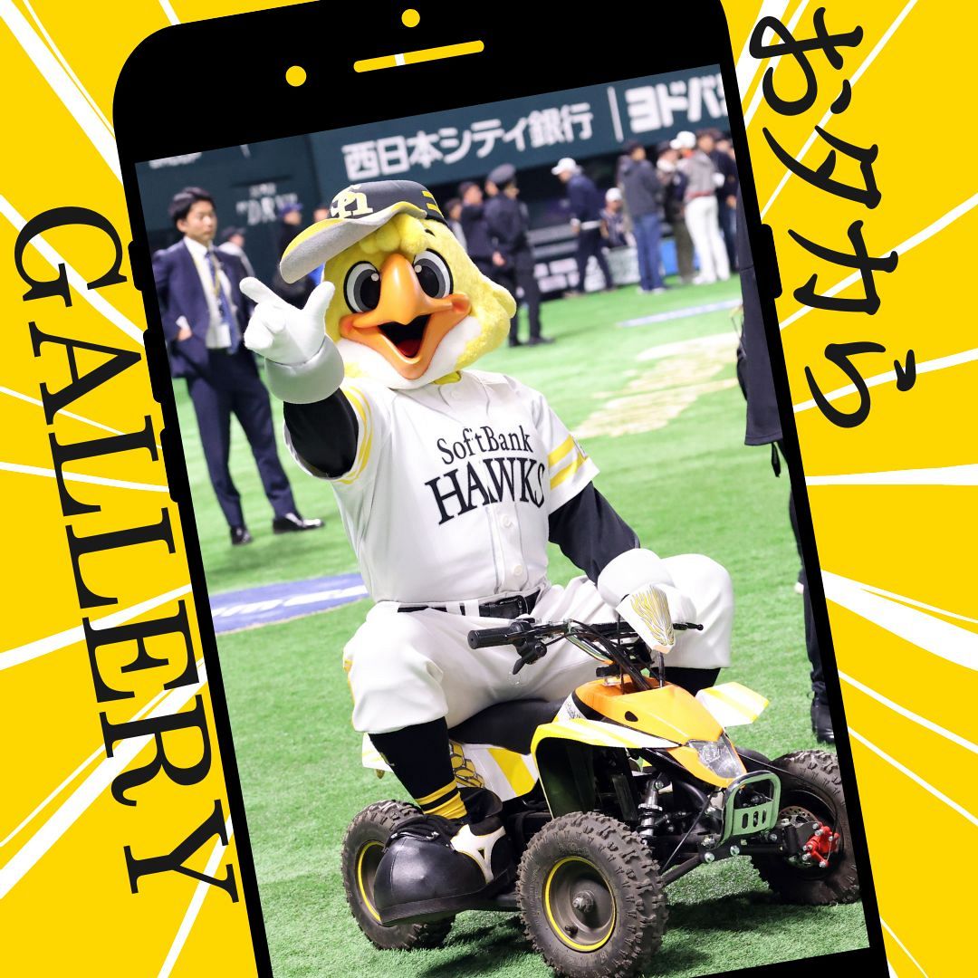 ハリーホーク：「おっ！」でつながる地元密着のスポーツ応援メディア