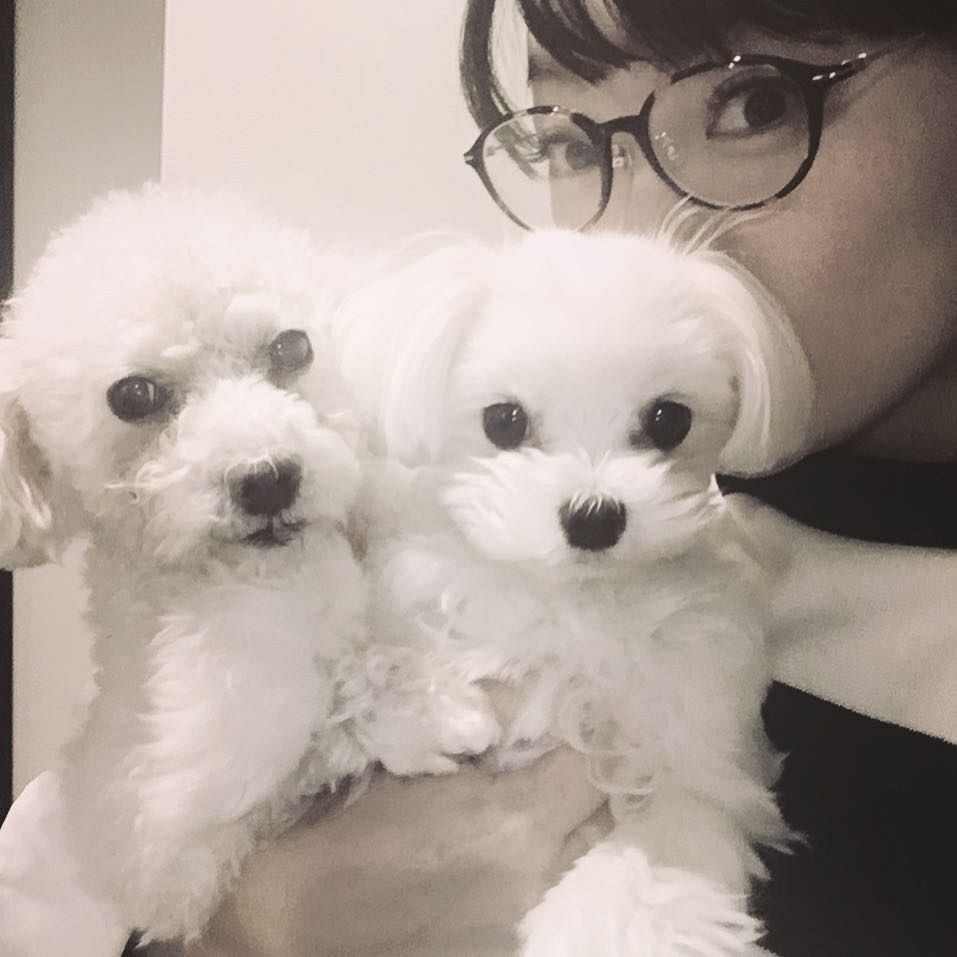 「顔が違って気づかなかった」モー娘卒業から23年…保田圭〝激変〟TV出演姿に「目元のキツさがなくなった」「努力は報われる！」：「おっ！」で ...