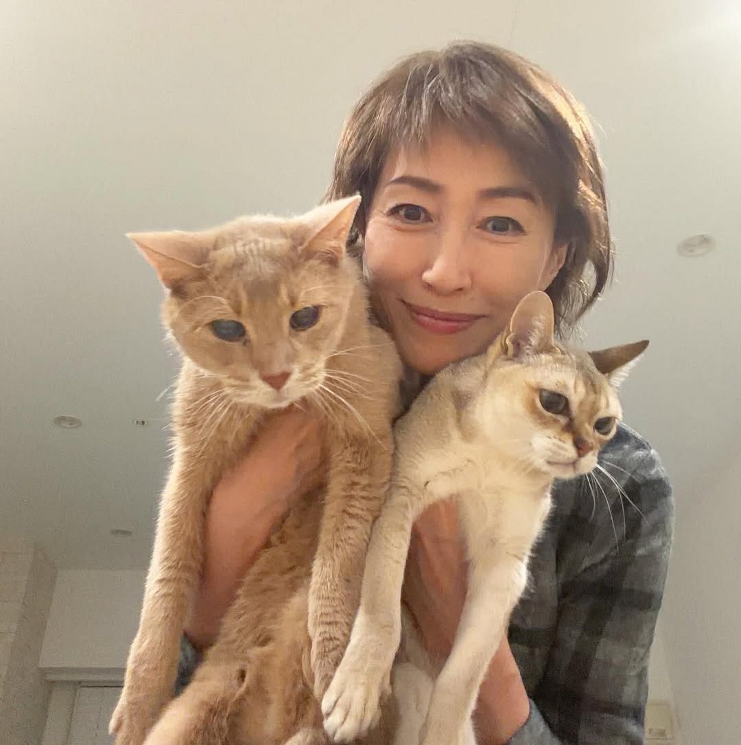 61歳にびっくり」ヤマト女優・高島礼子〝迫力あり〟最新ショットに驚愕