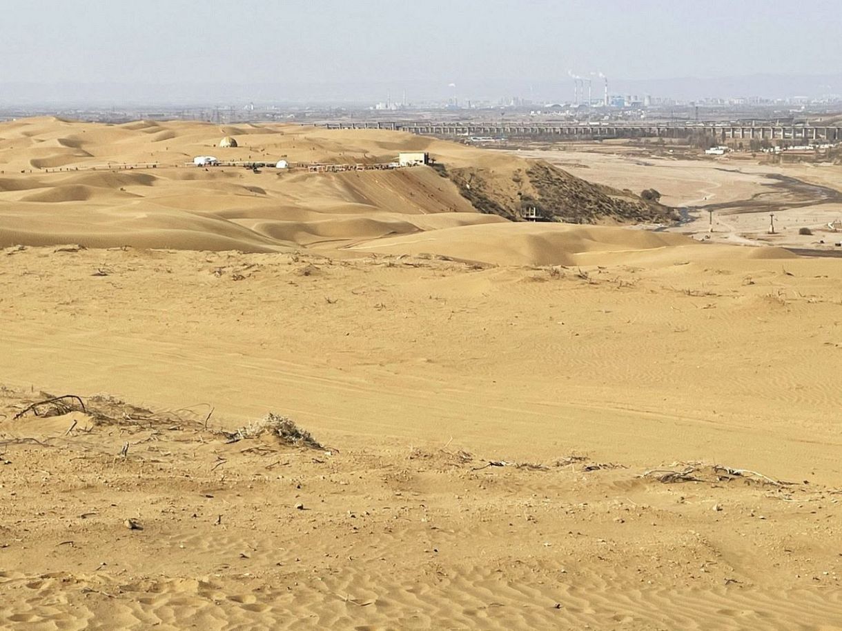 アフリカの砂漠！？」〝奇跡の絶景〟花々であふれる砂漠が話題「信じられない」「天国の原風景」「自然って凄いな」「感動的です」：「おっ！」でつながる地元密着のスポーツ応援メディア  西スポWEB OTTO!