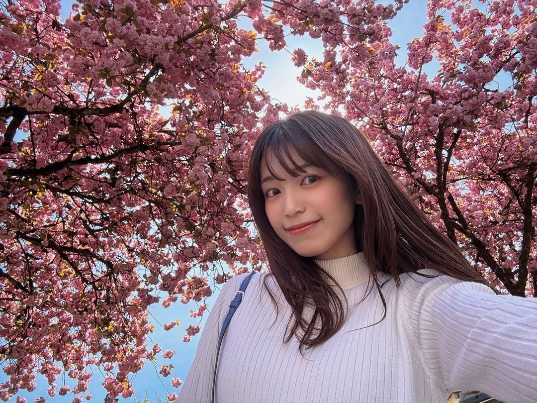 miwa 再婚
