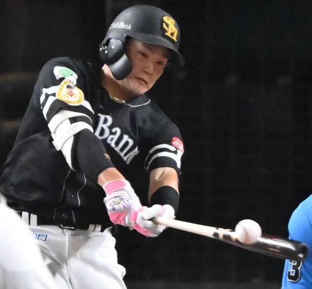 NPB硬式木製バット 福岡ソフトバンクホークス嶺井博希選手 公式】嶺井