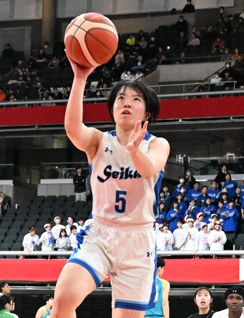 希少❗️美品❗️SWAROWSKI 花バスケット 希少❗️美品❗️SWAROWSKI