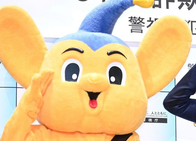 パートナーに選んだ理由は?」ウナギサヤカ＆鈴木みのる〝ご報告動画