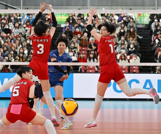 背番号15番の甲斐くんです」「自分らしくベストを尽くす」 バレー男子