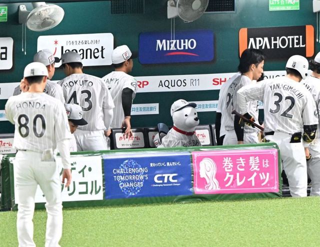 ええやんええやん」甲斐が新型キャッチャーマスクで練習：「おっ！」で