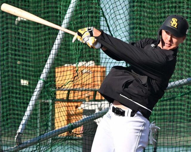 ZETT 硬式バット 長谷川勇也 ソフトバンクホークス NPB ZETT 硬式