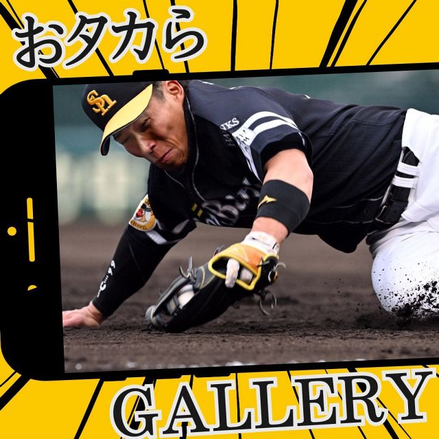 プレゼント】「2024 宮崎キャンプキャップ（非売品）」：「おっ！」で