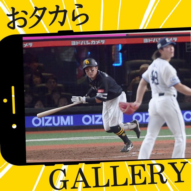 福岡ソフトバンクホークス 川村友斗 初本塁打記念 直筆サインフォト 福岡ソフトバンクホークス 川村友斗 初本塁打記念 直筆サインフォト